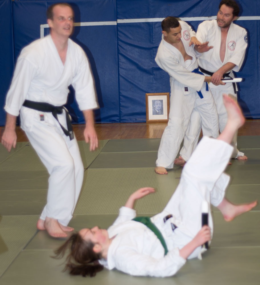 2018-01 Aikido Training Session